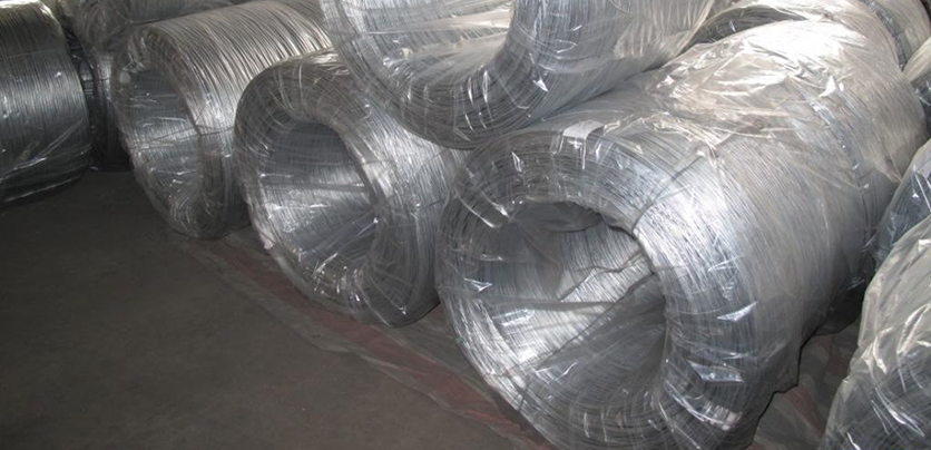 Hot dipped galvanized wire111
