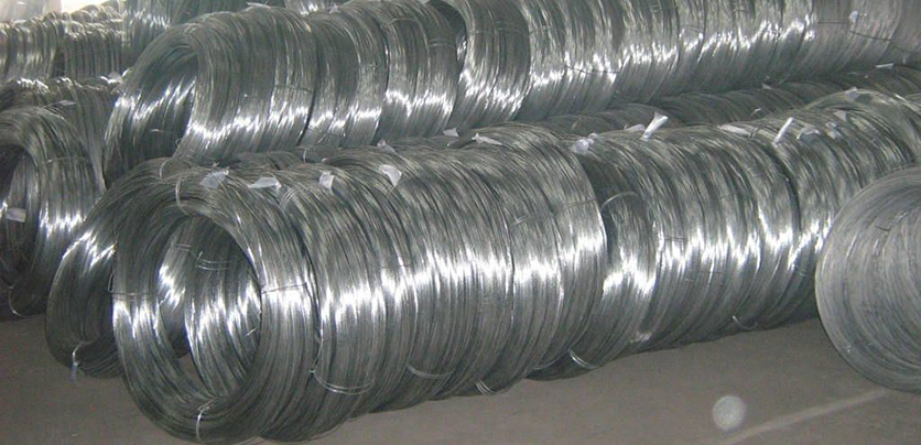 Hot dipped galvanized wire11123